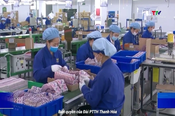 Siết chặt nguyên liệu đầu vào sản xuất hàng xuất khẩu
