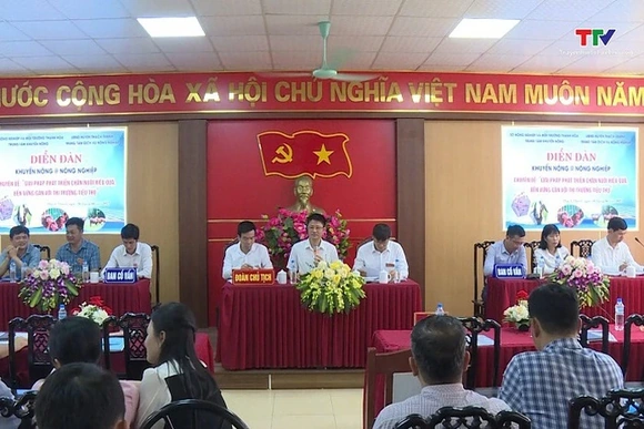 Giải pháp phát triển chăn nuôi hiệu quả, bền vững gắn với chuỗi tiêu thụ