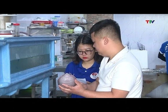 Chuẩn bị nguồn thực phẩm phục vụ thị trường dịp lễ 30/4 - 1/5