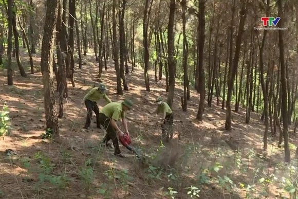 Dự báo và thông tin cấp dự báo cháy rừng từ ngày 7/5 - 9/5/2025