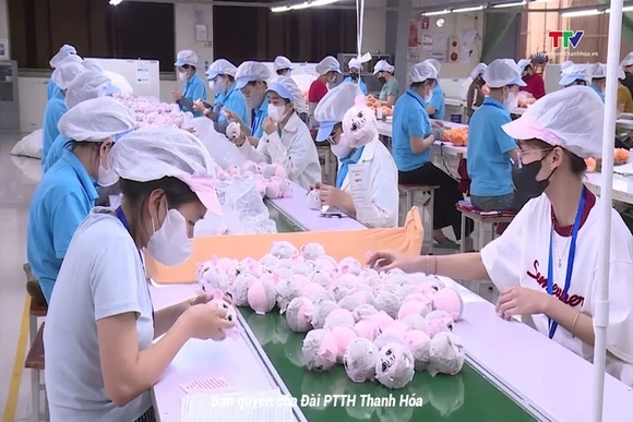 Ứng dụng khoa học kỹ thuật vào sản xuất thúc đẩy doanh nghiệp phát triển