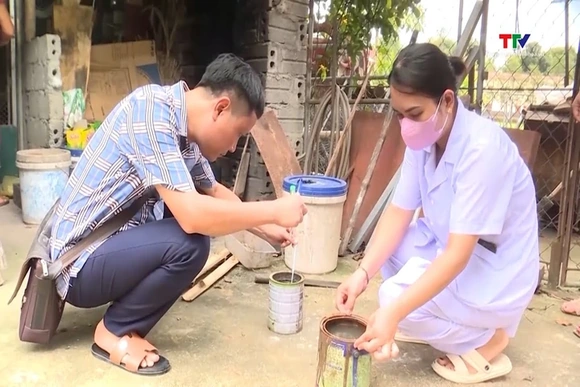 Tăng cường, phòng, chống sốt xuất huyết