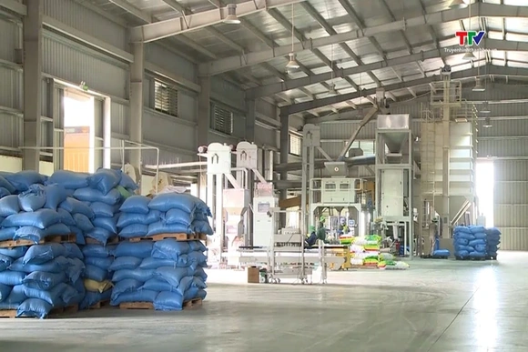 Xuất khẩu gạo khó tăng bởi áp lực nguồn cung