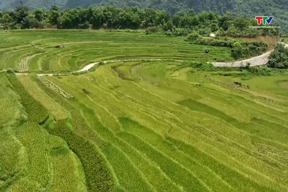 Pù Luông “hút” khách mùa lúa chín
