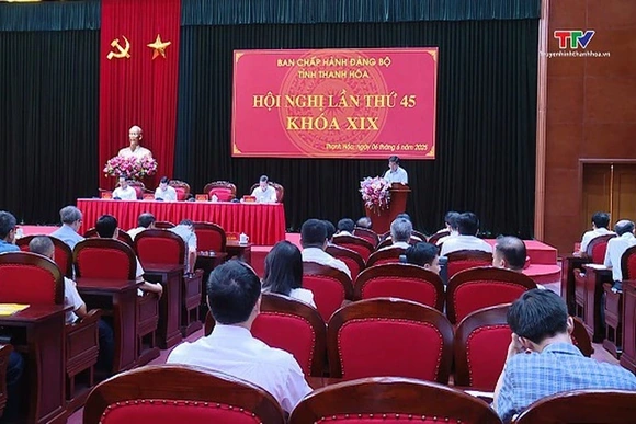 Hội nghị lần thứ 45 Ban Chấp hành Đảng bộ tỉnh khóa XIX