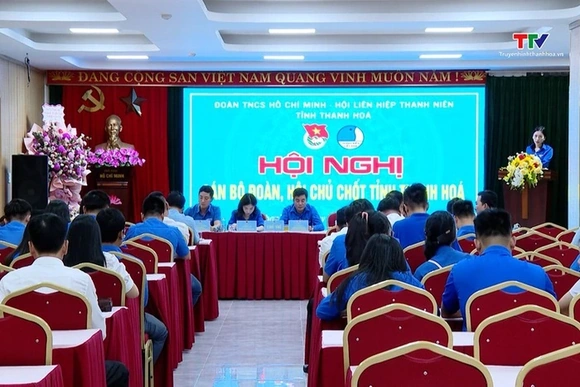 Hội nghị cán bộ Đoàn, Hội chủ chốt toàn tỉnh