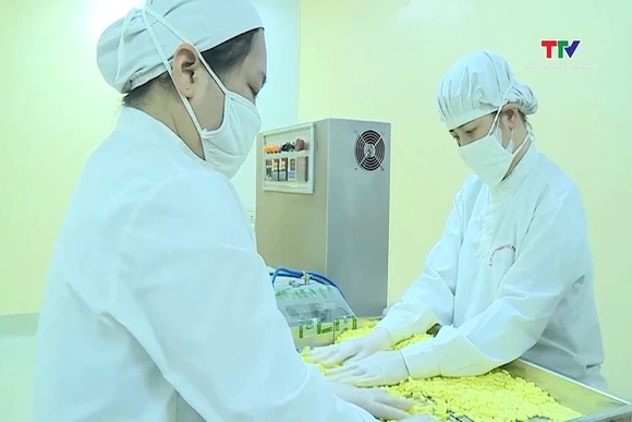 Tăng cường kiểm tra, giám sát việc kinh doanh nguyên liệu làm thuốc