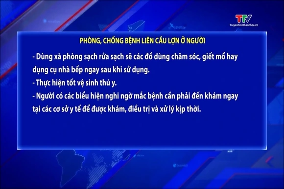 Phòng, chống bệnh liên cầu lợn ở người