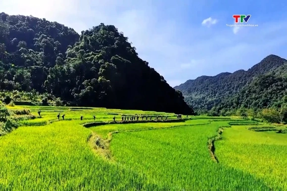 Những “điểm đến xanh” giữa ngày hè oi bức