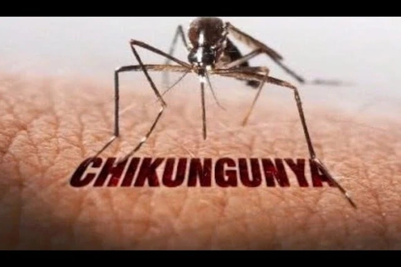 Tăng cường phòng, chống bệnh Chikungunya trên địa bàn tỉnh Thanh Hóa