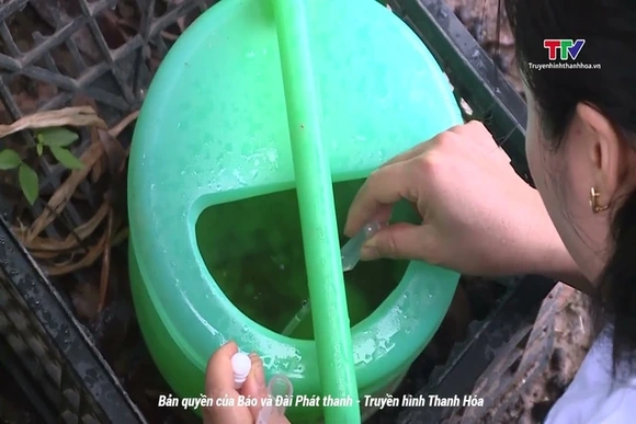 Tổ chức các đoàn kiểm tra điểm nóng, nguy cơ bùng phát dịch sốt xuất huyết