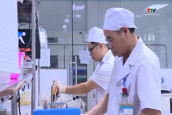 Liệu pháp gene, ghép tế bào gốc được kỳ vọng tạo bước tiến trong điều trị bệnh lý huyết học