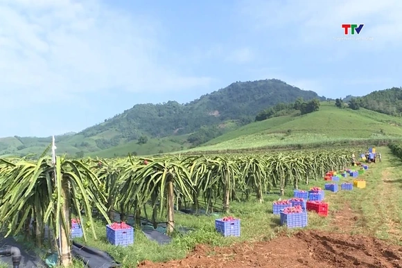 Tiêu thụ nông lâm thủy sản của Việt Nam tích cực