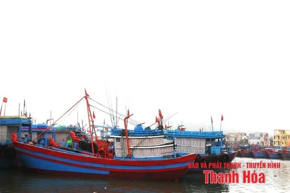 Cấm biển từ 08 giờ ngày 24/8/2025 cho đến khi không còn ảnh hưởng của bão