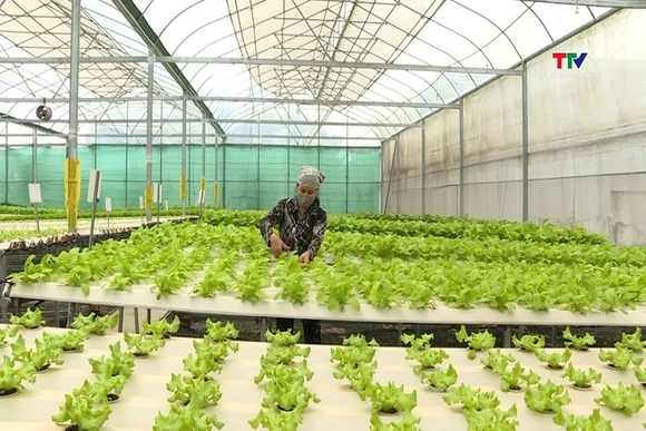 Mục tiêu 30% doanh nghiệp áp dụng truy xuất nguồn gốc