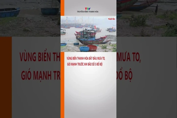 Vùng biển Thanh Hóa bắt đầu mưa to, gió mạnh trước khi bão số 5 đổ bộ | Báo Thanh Hóa #shorts