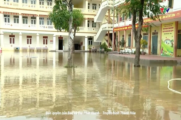 Vững vàng sau bão, sẵn sàng cho năm học mới