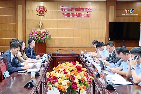 Phó Chủ tịch Thường trực UBND tỉnh làm việc với Công ty TNHH JERA Energy Việt Nam