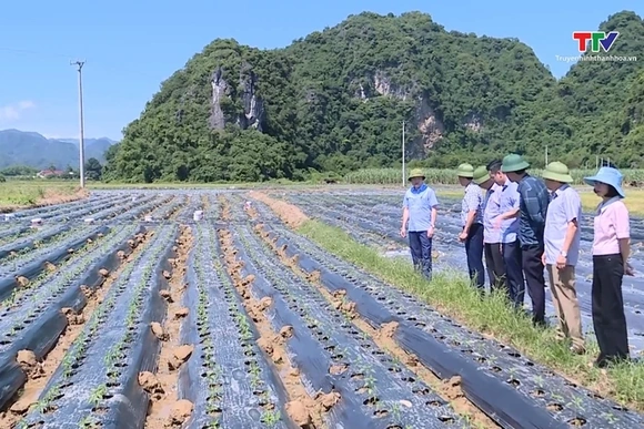 Lãnh đạo Sở Nông nghiệp và Môi trường Thanh Hóa kiểm tra tình hình thu hoạch lúa mùa, sản xuất vụ đô