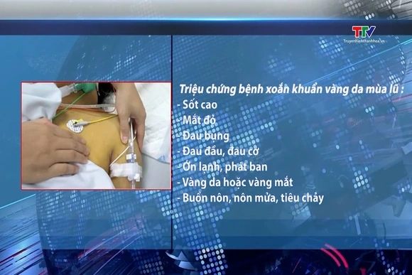 Cẩn trọng với bệnh xoắn khuẩn vàng da mùa lũ