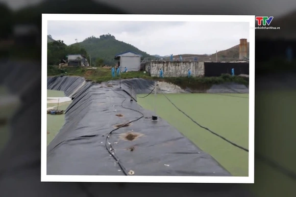 Dừng hoạt động trang trại lợn gây ô nhiễm ở xã Thanh Quân