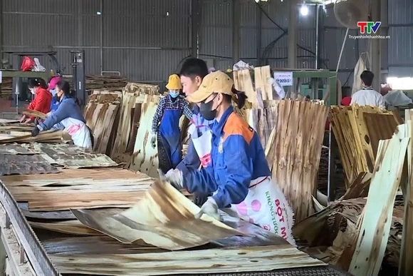 Ngành gỗ Việt Nam đối diện với phòng vệ thương mại của Hoa Kỳ