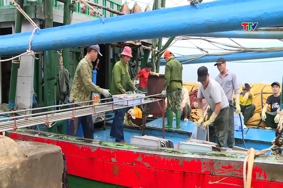 Sản lượng thủy sản toàn tỉnh đạt 80,7% kế hoạch năm