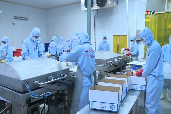 Các doanh nghiệp gia tăng hoạt động xuất khẩu nông, lâm, thuỷ sản