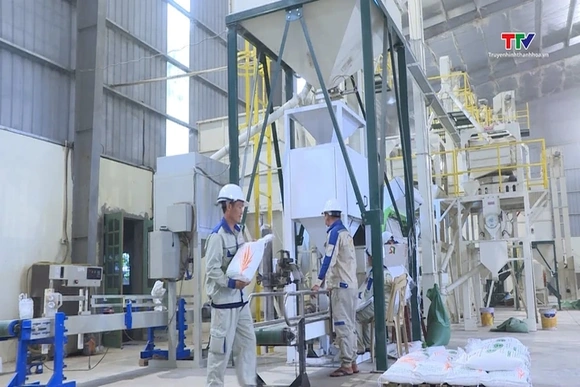 Phong trào sản xuất, kinh doanh giỏi tạo động lực để nông dân làm giàu