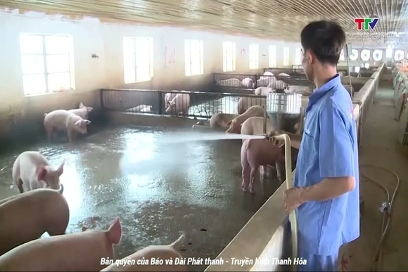 Ngành nông nghiệp duy trì tăng trưởng