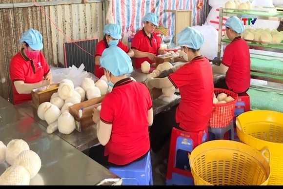 Nông sản của Việt Nam lập kỷ lục xuất khẩu mới
