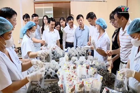Kết nối giao thương - Cơ hội mở rộng thị trường cho doanh nghiệp