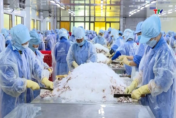 Thanh Hóa: Các ngành sản xuất tăng tốc mùa cao điểm