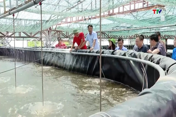 Năm 2026 phấn đấu chuyển đổi hơn 1.600 ha đất sản xuất nông nghiệp