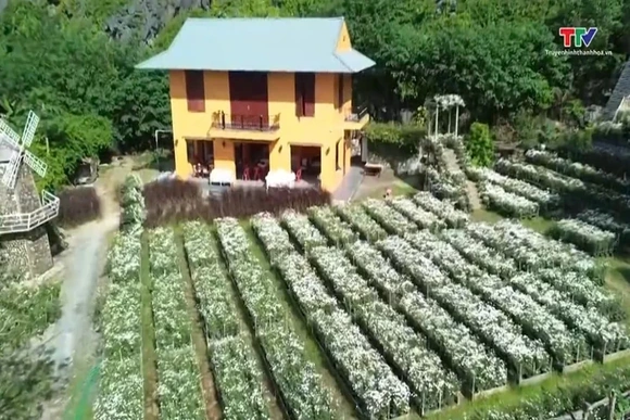 Mùa hoạ mi trở lại, Động Tiên Sơn bừng sắc giữa tiết trời se lạnh
