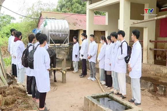 Hiệu quả đào tạo nghề cho lao động nông thôn