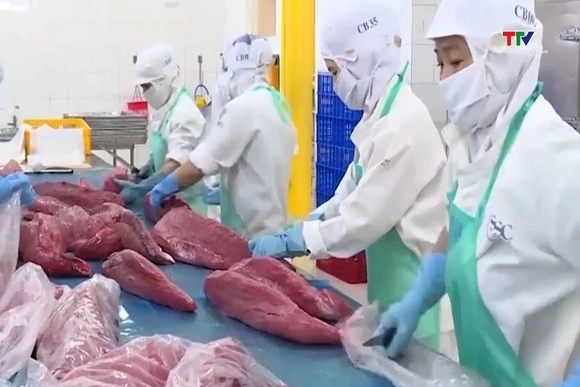 Xuất khẩu cá ngừ giảm cuối năm