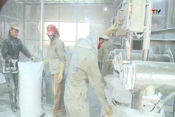 Xuất khẩu sắn vượt 1 tỷ USD nhưng thiếu tính bền vững