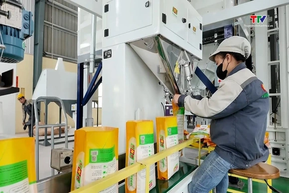 Tăng tốc, bứt phá hoàn thành thắng lợi các mục tiêu, nhiệm vụ năm 2025