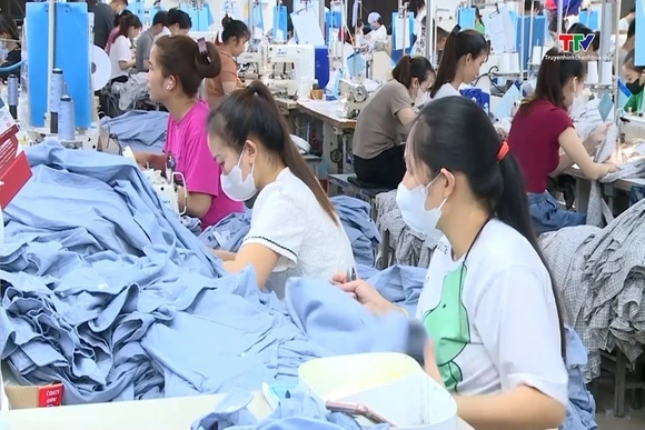 Báo cáo tình hình tiền lương, kế hoạch thưởng Tết trong doanh nghiệp trước ngày 25/12