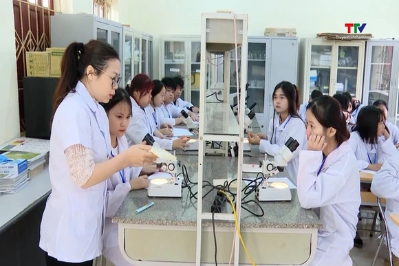 Thúc đẩy khởi nghiệp đổi mới sáng tạo