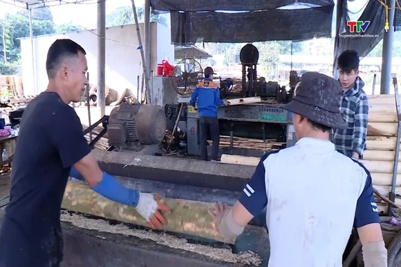 Thanh Hóa phát triển được 10 chuỗi liên kết sản xuất chế biến lâm sản
