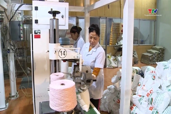 Tín hiệu tích cực từ thị trường xuất khẩu gạo cuối năm