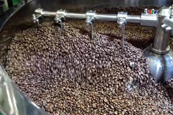 Xuất khẩu cà phê lập kỷ lục mới, doanh nghiệp tăng tốc đầu tư