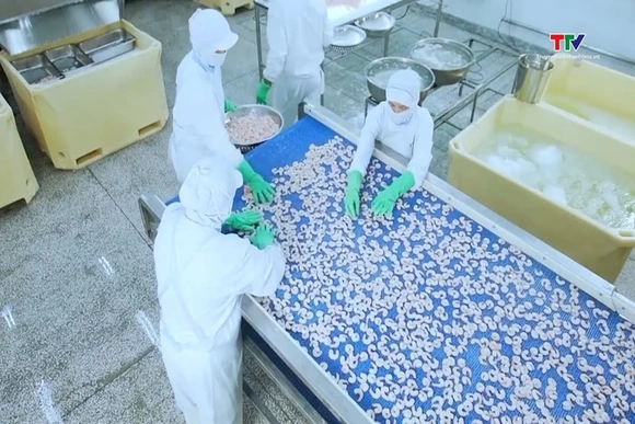 Xuất khẩu tôm lập kỷ lục