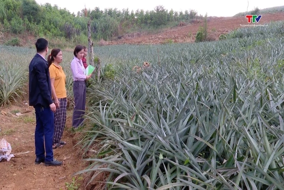 Vốn tín dụng chính sách góp phần giải quyết việc làm
