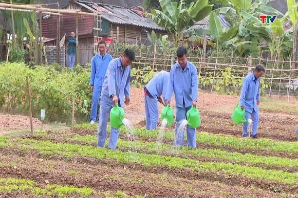 Nâng cao hiệu quả cai nghiện ma túy và quản lý sau cai