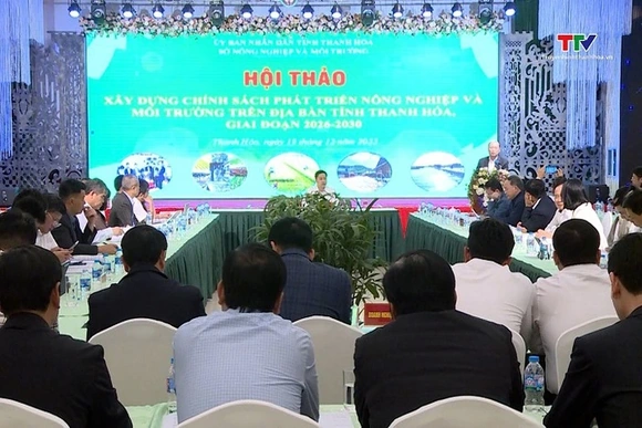 Hội thảo 