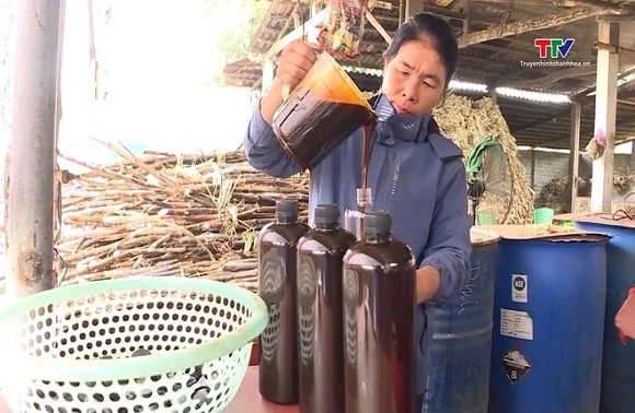 Nghề làm mật mía truyền thống xã Thạch Bình vào vụ Tết
