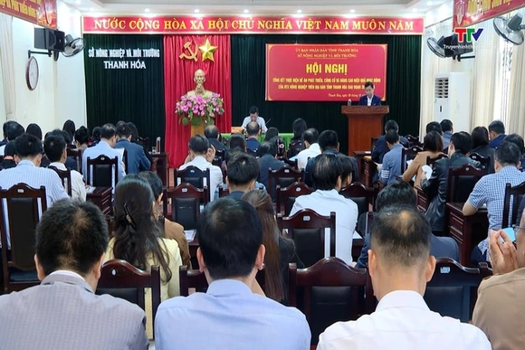 Tổng kết đề án Phát triển, củng cố và nâng cao hiệu quả HTX nông nghiệp trên địa bàn tỉnh Thanh Hoá,